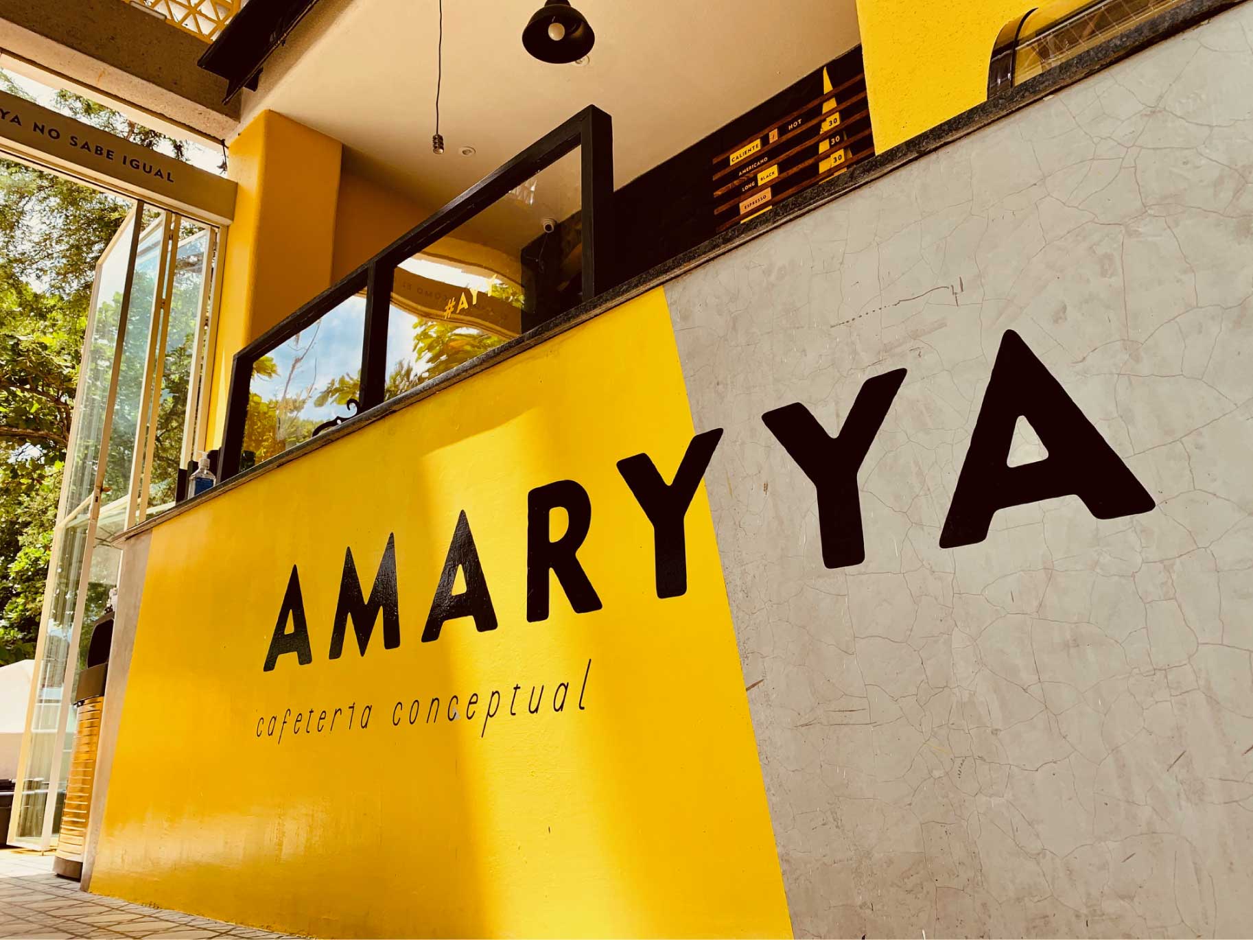Amaryya-1