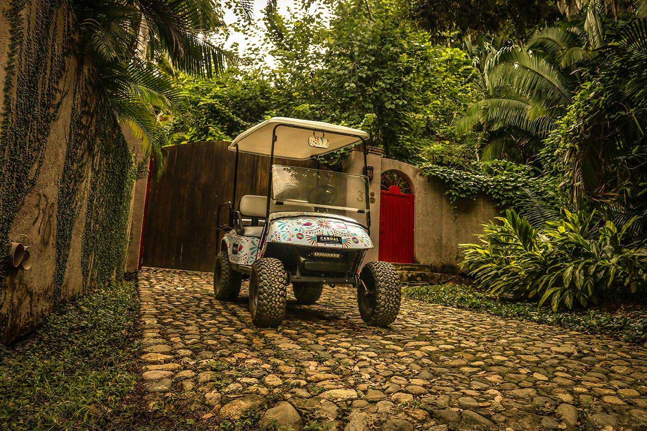 CARNAL-IMG_5689-95