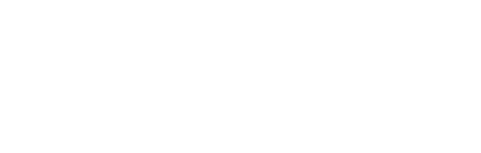 LOGO FEROZ SOLO BLANCO