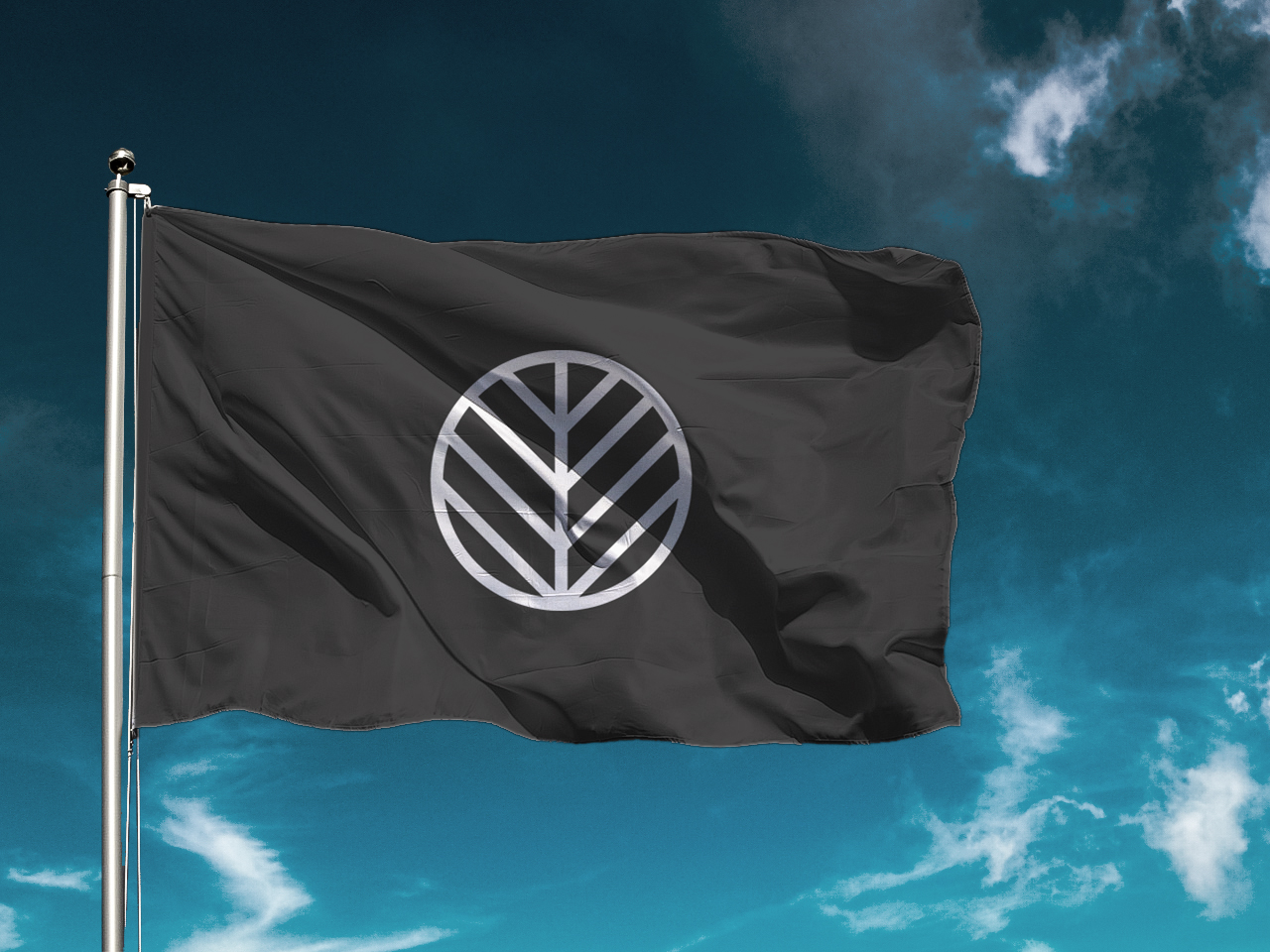 bandera 2
