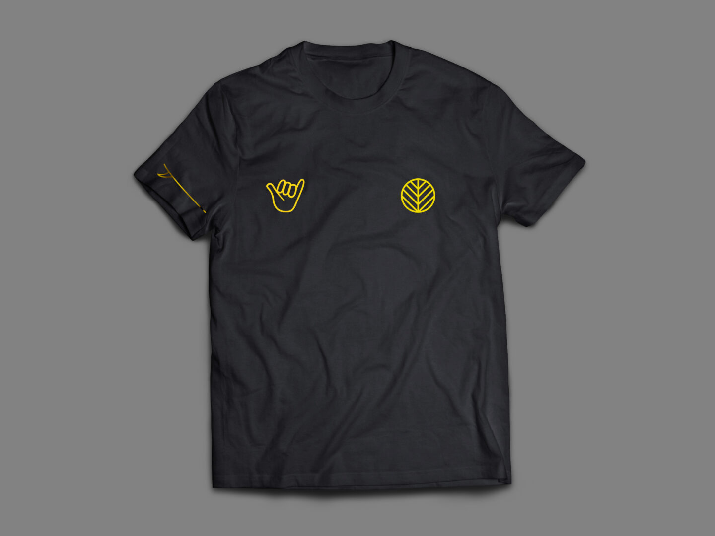 remera frente